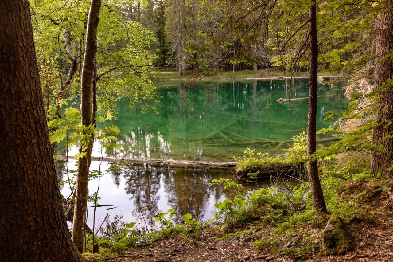 Almhuetten Sonnblick & Almfried Sonnenalpe Nassfeld Exteriér fotografie